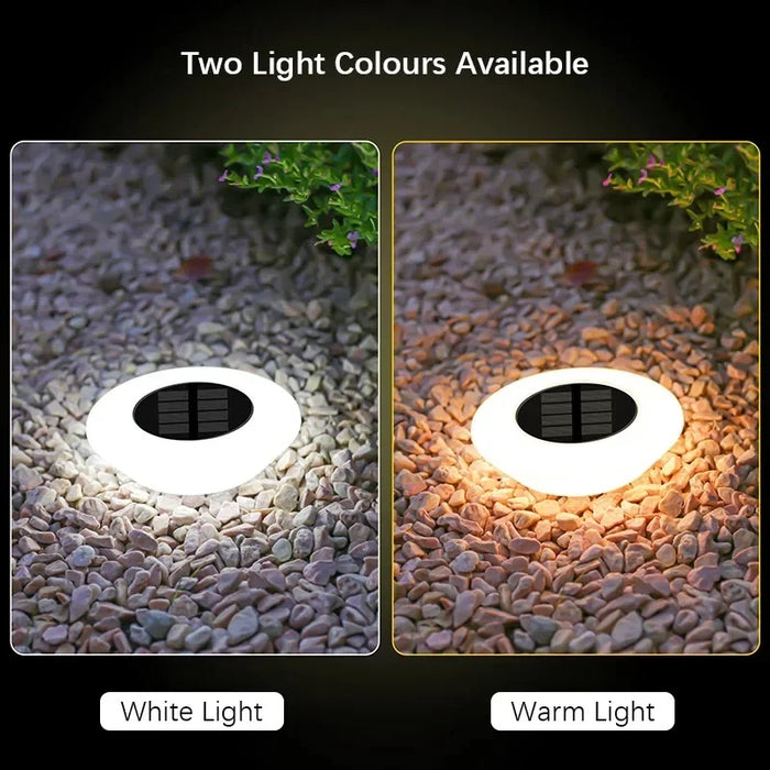 Waterproof Solar Ground Lights 14 LED for Garden, Pathway & Yard